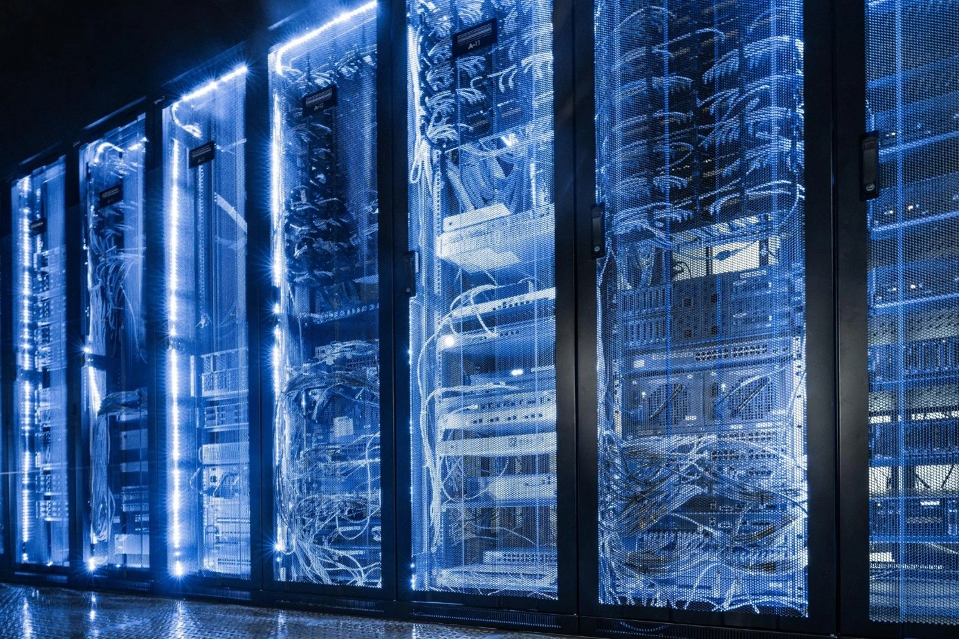 IT Danışmanlık Hizmeti